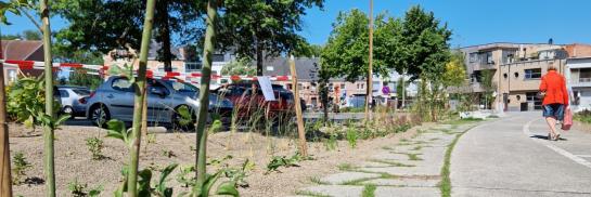 Ontharding Heldenplein