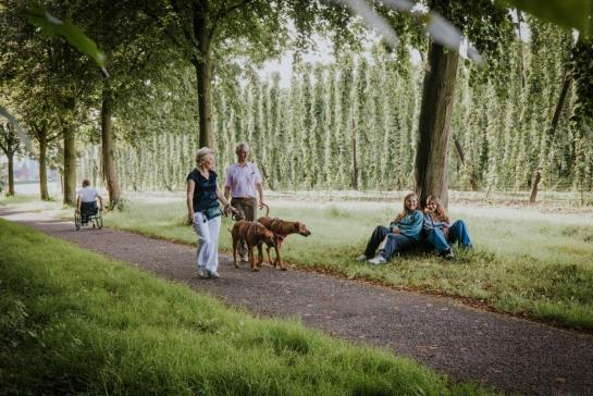 Wandelen in Londerzeel