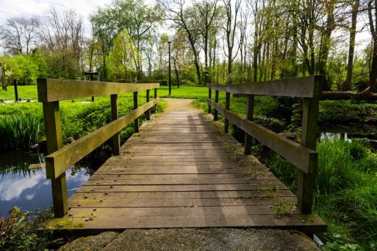 Bruggetje in de Groene Long
