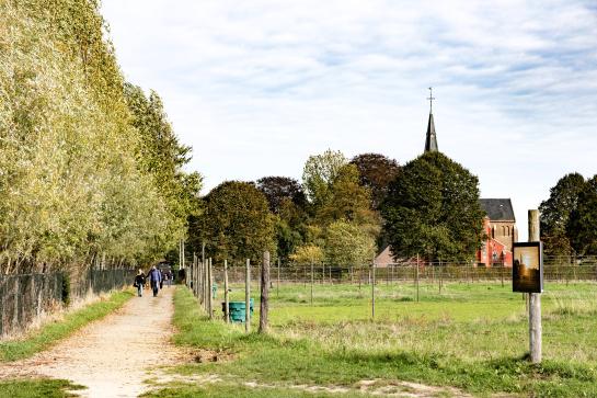 Wandelaars tijdens de Dag van de trage weg 2025